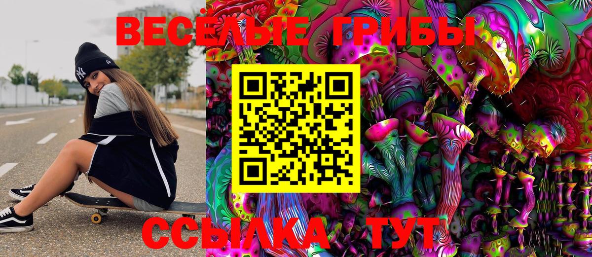 Галлюциногенные грибы Magic Shrooms  Вход с VPN  Бердск 