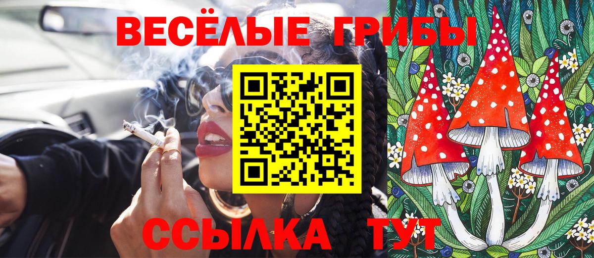 Галлюциногенные грибы ЛСД Бердск